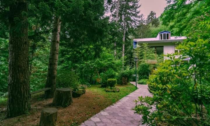 Nunisi Forest Hotel & Spa Exteriér fotografie