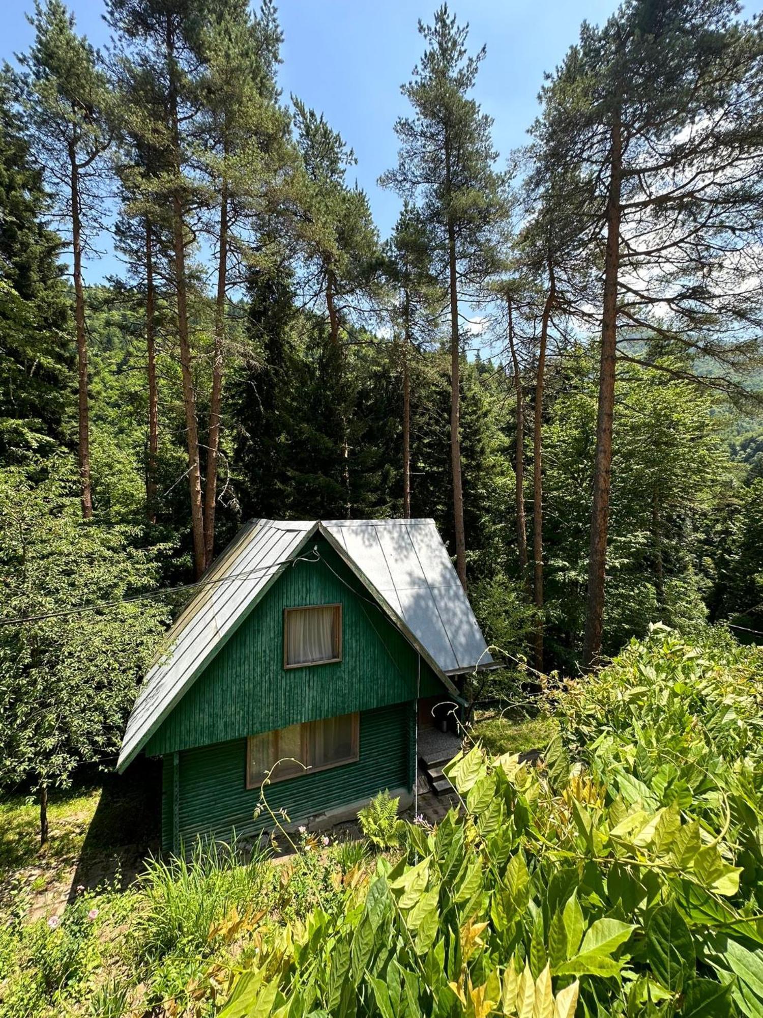 Nunisi Forest Hotel & Spa Exteriér fotografie