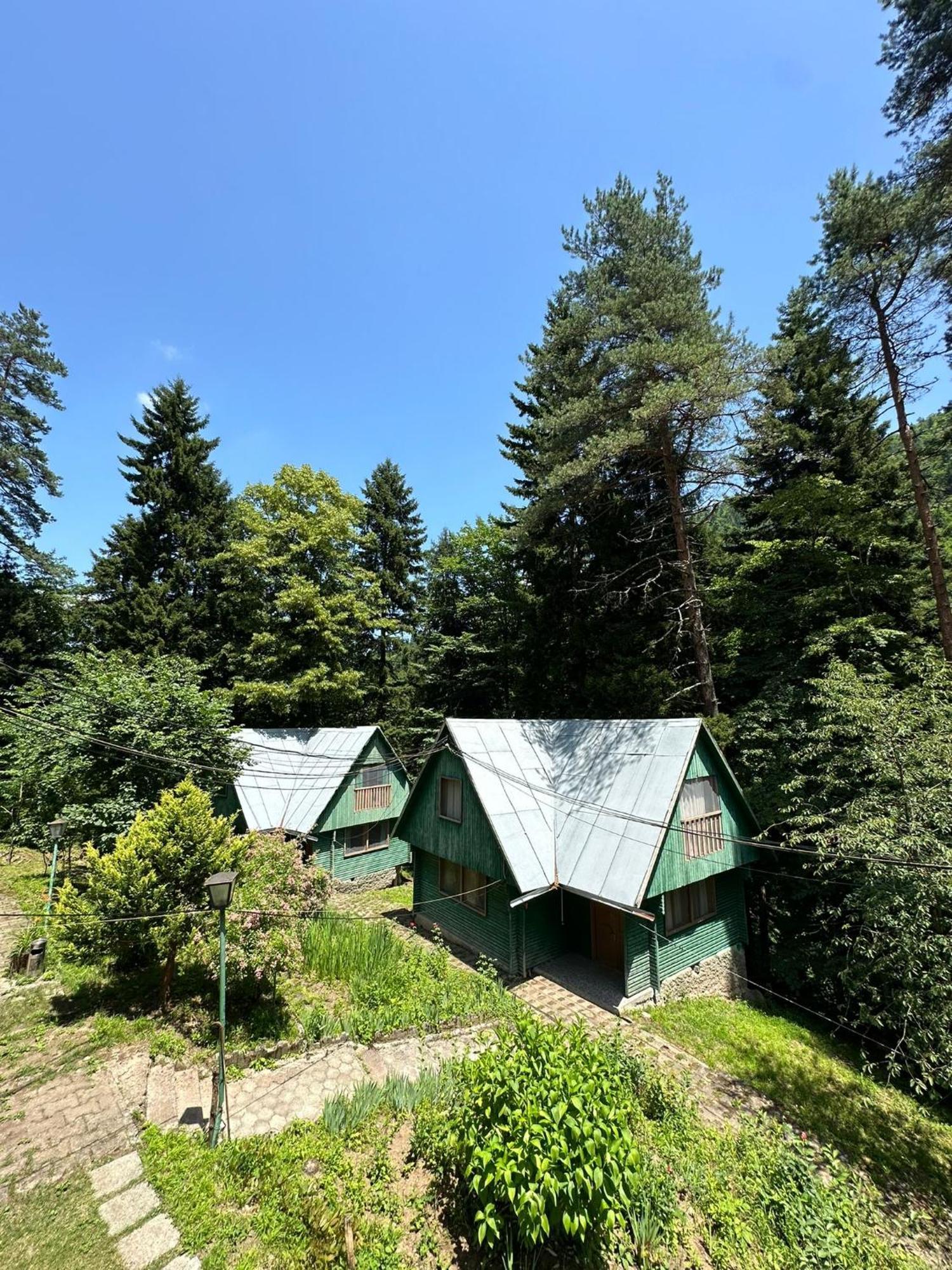 Nunisi Forest Hotel & Spa Exteriér fotografie