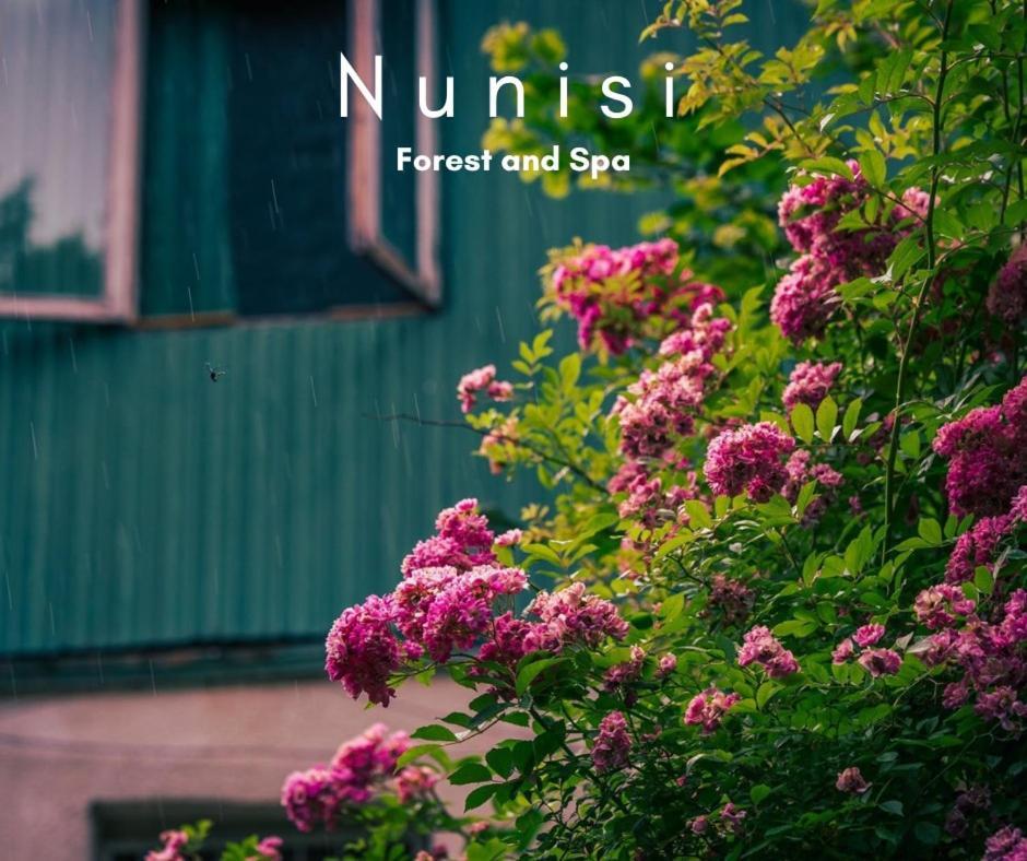 Nunisi Forest Hotel & Spa Exteriér fotografie