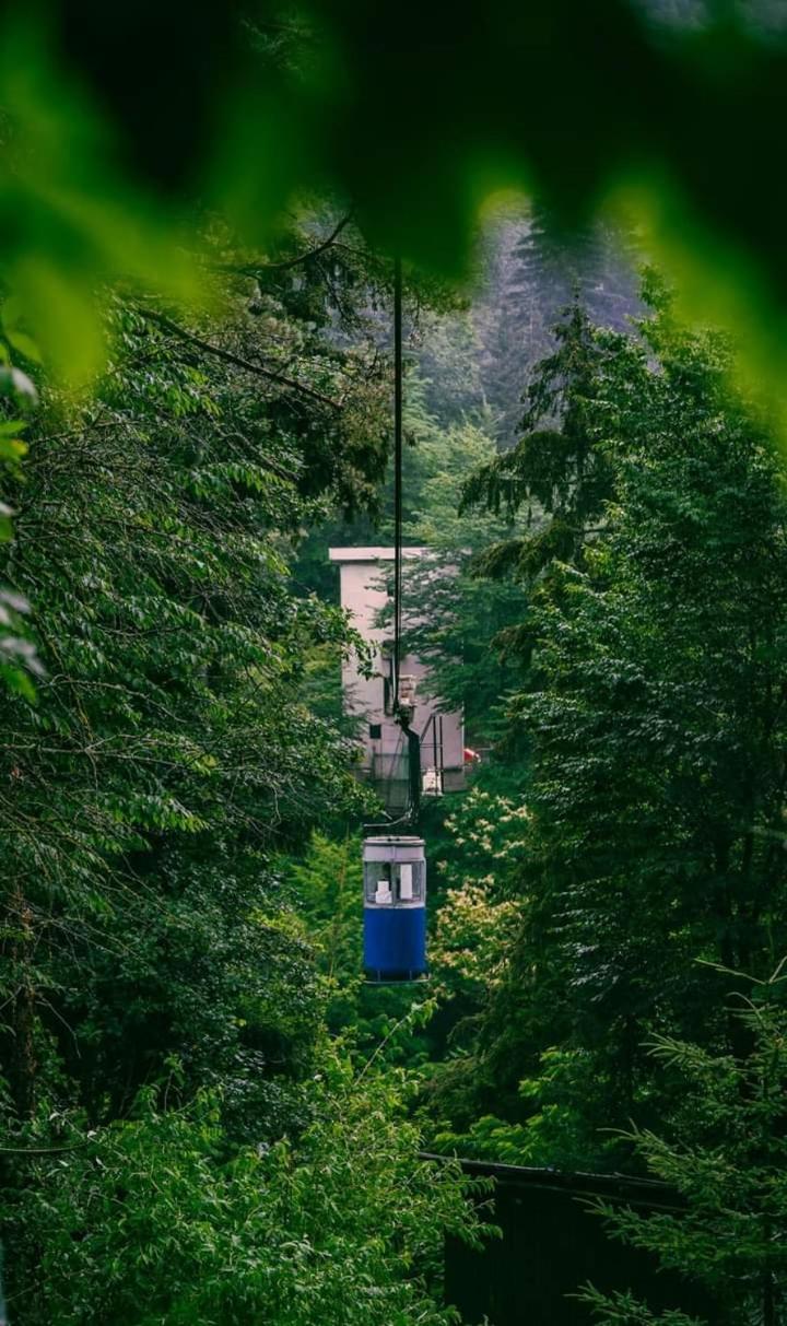 Nunisi Forest Hotel & Spa Exteriér fotografie